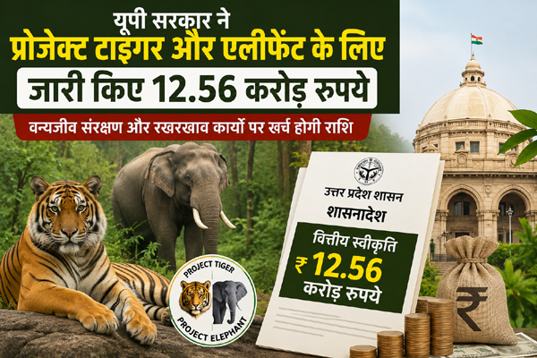 यूपी सरकार का बड़ा फैसला: प्रोजेक्ट टाइगर और एलीफेंट के लिए 12.56 करोड़ रुपये मंजूर